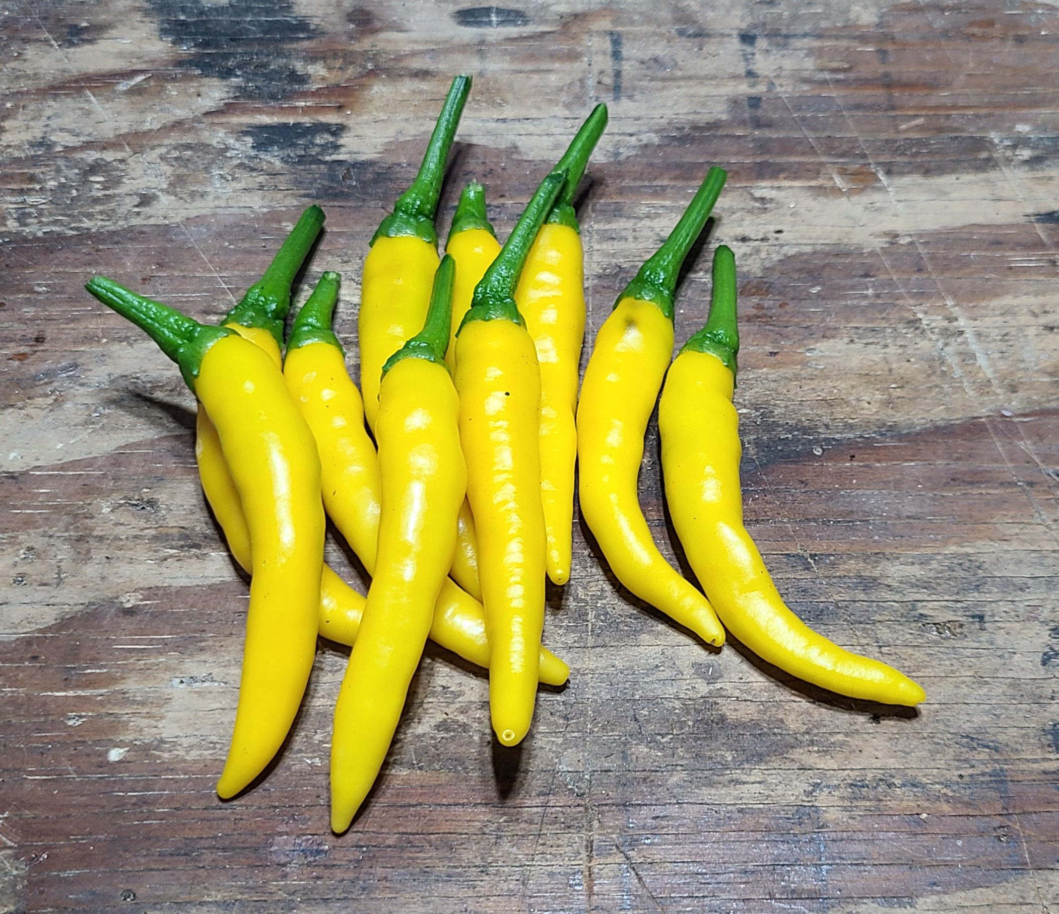 Kristian – Thai Pepper Seed